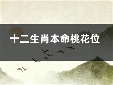 十二生肖本命桃花位