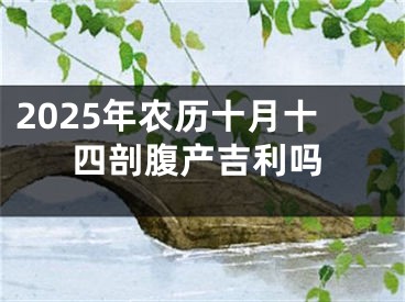 2025年农历十月十四剖腹产吉利吗