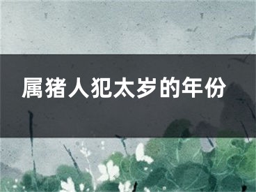 属猪人犯太岁的年份