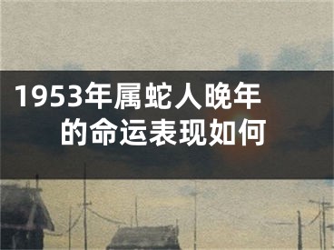 1953年属蛇人晚年的命运表现如何