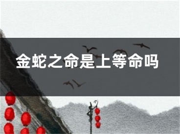 金蛇之命是上等命吗