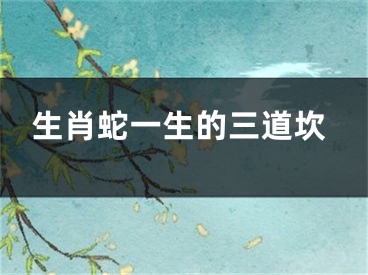 生肖蛇一生的三道坎