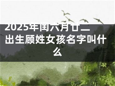2025年闰六月廿二出生顾姓女孩名字叫什么