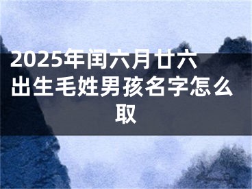 2025年闰六月廿六出生毛姓男孩名字怎么取