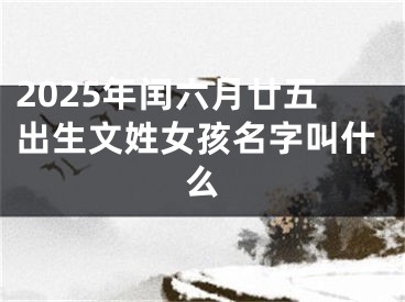 2025年闰六月廿五出生文姓女孩名字叫什么