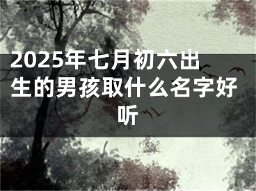 2025年七月初六出生的男孩取什么名字好听