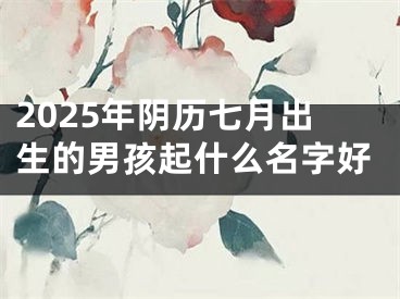 2025年阴历七月出生的男孩起什么名字好
