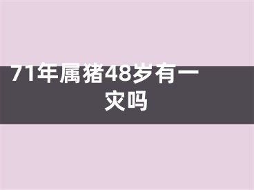 71年属猪48岁有一灾吗