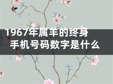 1967年属羊的终身手机号码数字是什么
