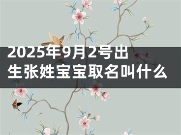 2025年9月2号出生张姓宝宝取名叫什么