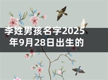 李姓男孩名字2025年9月28日出生的