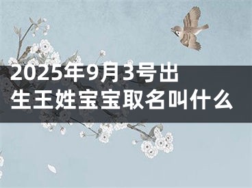 2025年9月3号出生王姓宝宝取名叫什么