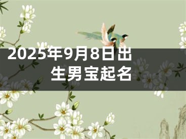 2025年9月8日出生男宝起名