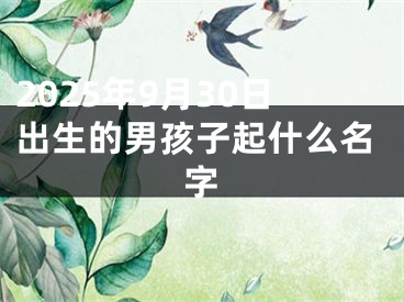2025年9月30日出生的男孩子起什么名字