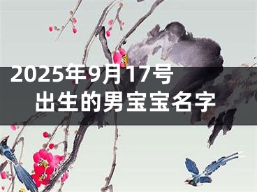 2025年9月17号出生的男宝宝名字