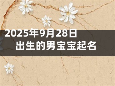 2025年9月28日出生的男宝宝起名
