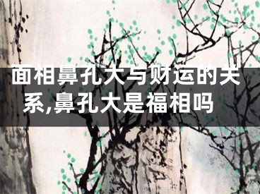 面相鼻孔大与财运的关系,鼻孔大是福相吗