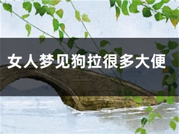 女人梦见狗拉很多大便