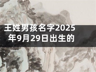 王姓男孩名字2025年9月29日出生的