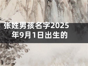张姓男孩名字2025年9月1日出生的