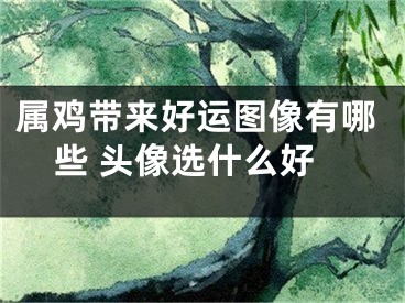 属鸡带来好运图像有哪些 头像选什么好