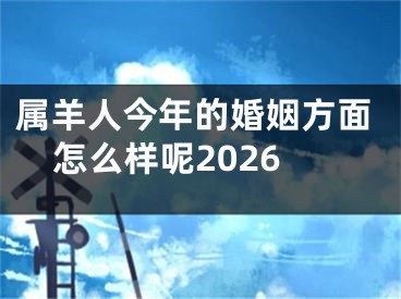 属羊人今年的婚姻方面怎么样呢2026