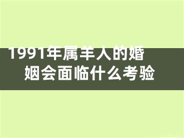 1991年属羊人的婚姻会面临什么考验