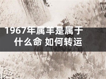 1967年属羊是属于什么命 如何转运
