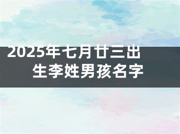 2025年七月廿三出生李姓男孩名字