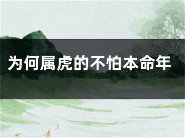 为何属虎的不怕本命年