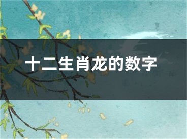 十二生肖龙的数字