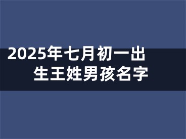2025年七月初一出生王姓男孩名字