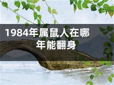 1984年属鼠人在哪年能翻身