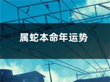 属蛇本命年运势