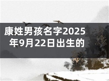 康姓男孩名字2025年9月22日出生的