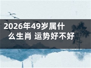 2026年49岁属什么生肖 运势好不好