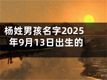 杨姓男孩名字2025年9月13日出生的
