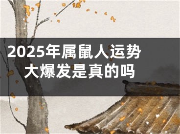 2025年属鼠人运势大爆发是真的吗 
