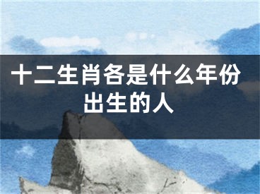 十二生肖各是什么年份出生的人