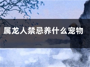 属龙人禁忌养什么宠物