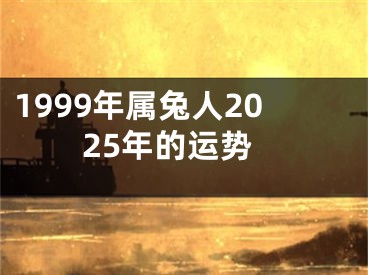 1999年属兔人2025年的运势