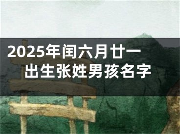 2025年闰六月廿一出生张姓男孩名字