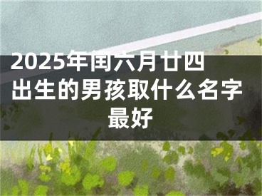 2025年闰六月廿四出生的男孩取什么名字最好