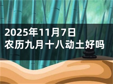 2025年11月7日农历九月十八动土好吗