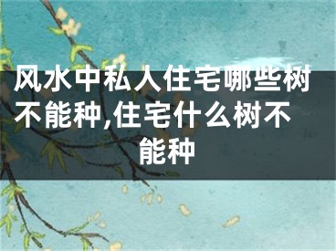 风水中私人住宅哪些树不能种,住宅什么树不能种