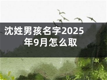 沈姓男孩名字2025年9月怎么取