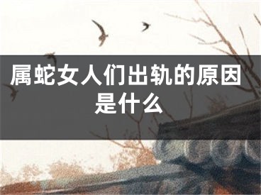 属蛇女人们出轨的原因是什么