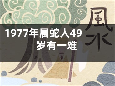 1977年属蛇人49岁有一难