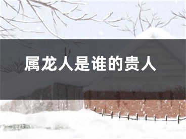 属龙人是谁的贵人