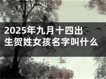 2025年九月十四出生贺姓女孩名字叫什么